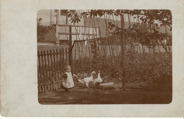 Benekestr. 41 im Garten