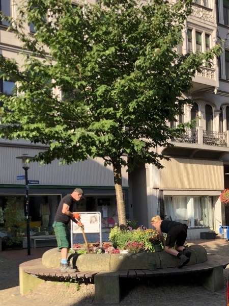 Neubepflanzung