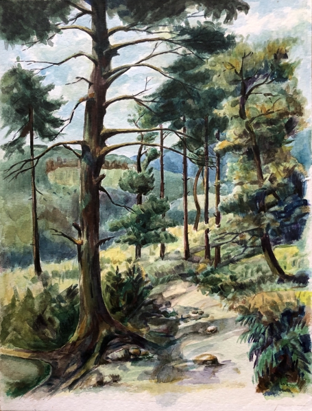 Waldweg bei Hohenlimburg