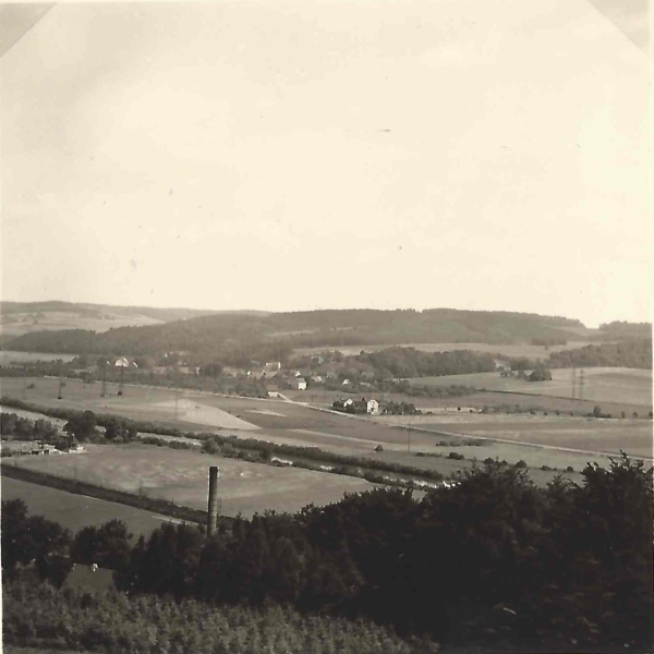 Blick von Weissenstein auf Reh