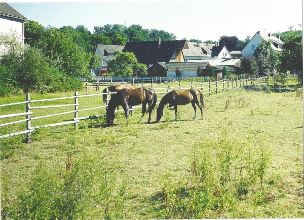 Tierische Idylle in Hohenlimburg