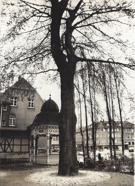 Villa Wälzholz - Bettermann