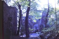 Ruinen der Hohensyburg