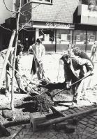 Baum setzen am Dorfplatz Elsey, 27.04.1984