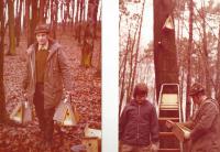 Nistkästen am Steltenberg 1975