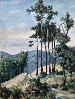 Landschaft bei Hohenlimburg